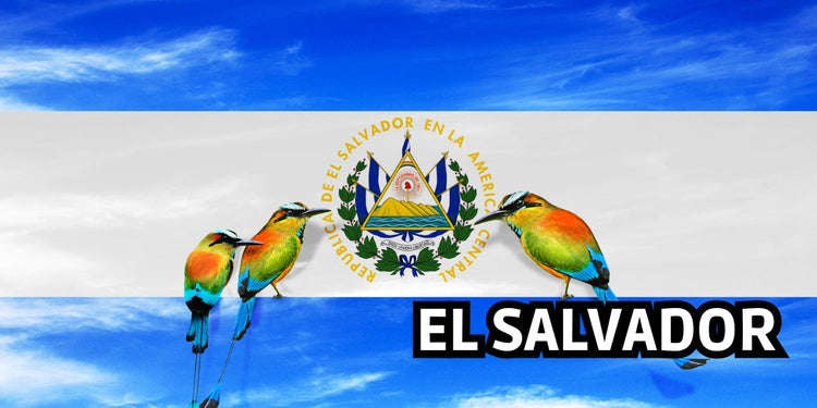 All About El Salvador - NY GIftcraft