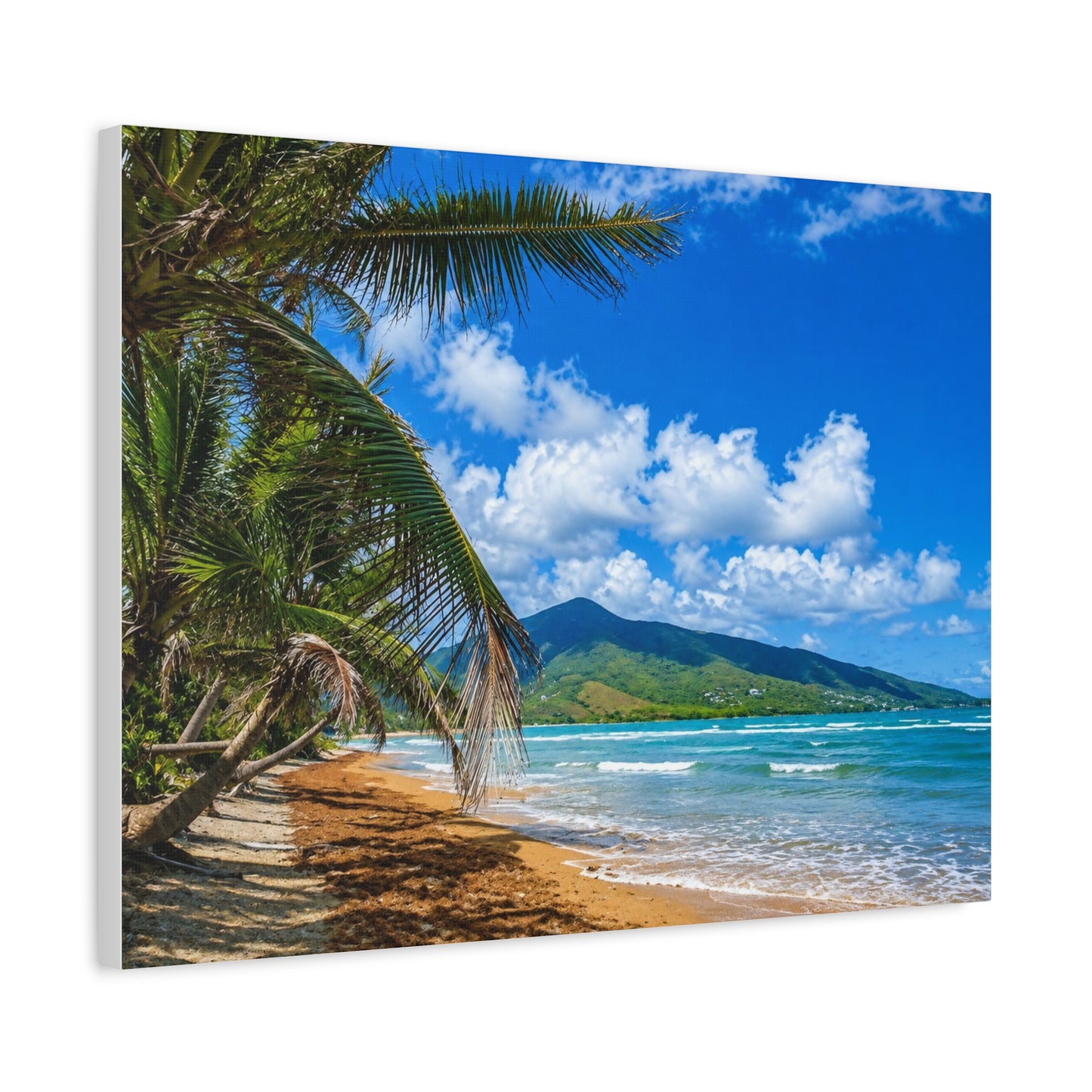 PR Beach Canvas Print — Matte Stretched Wall Art