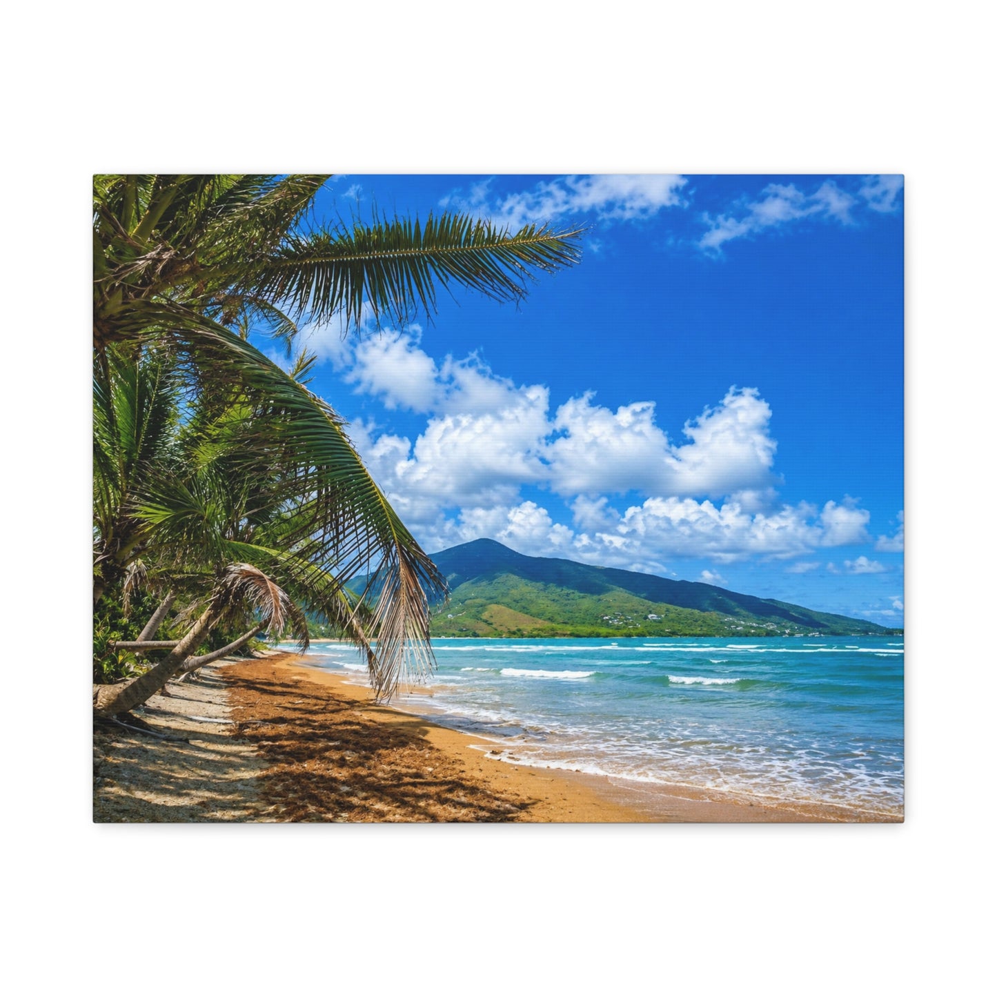 PR Beach Canvas Print — Matte Stretched Wall Art